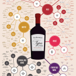 Different types of wine infographic